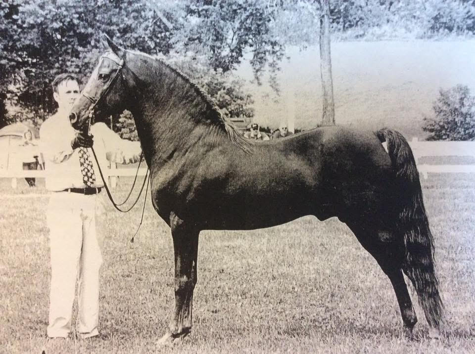Archival photograph of Covenant Nathan Ash standing in profile beside his handler
