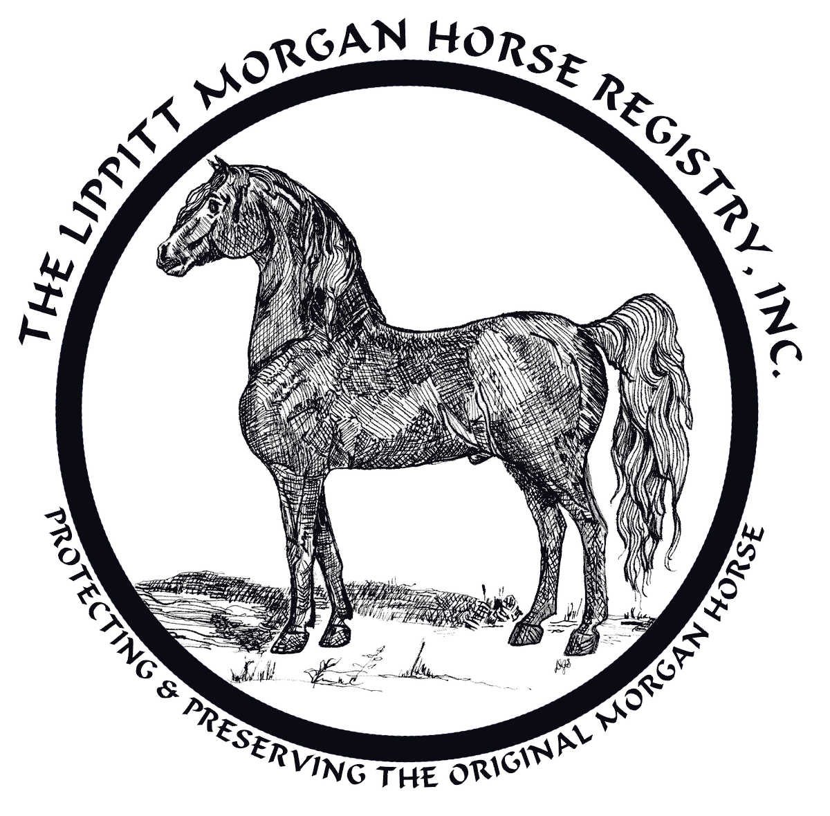 The Lippitt Morgan Horse Registry seal: an engraved Morgan horse encircled by the words Protecting and Preserving the Original Morgan Horse