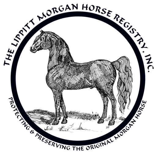 The Lippitt Morgan Horse Registry engraving of a Morgan horse