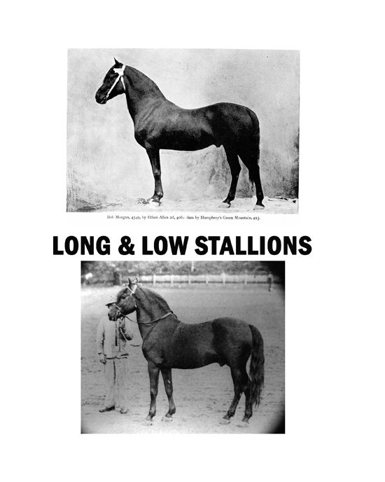 Long and low stallions comparison plate, first of three