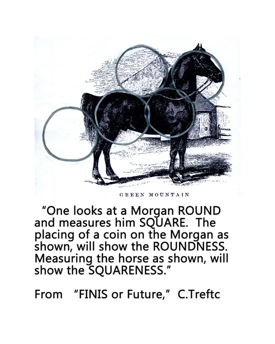 Engraving of Hale's Green Mountain Morgan overlaid with circles showing roundness, with Treftc quotation on measuring squareness